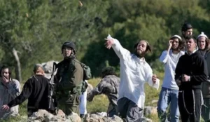 مستعمرون يعتدون على قاطفي الزيتون في بورين جنوب نابلس مستعمرون يعتدون على قاطفي الزيتون في بورين جنوب نابلس